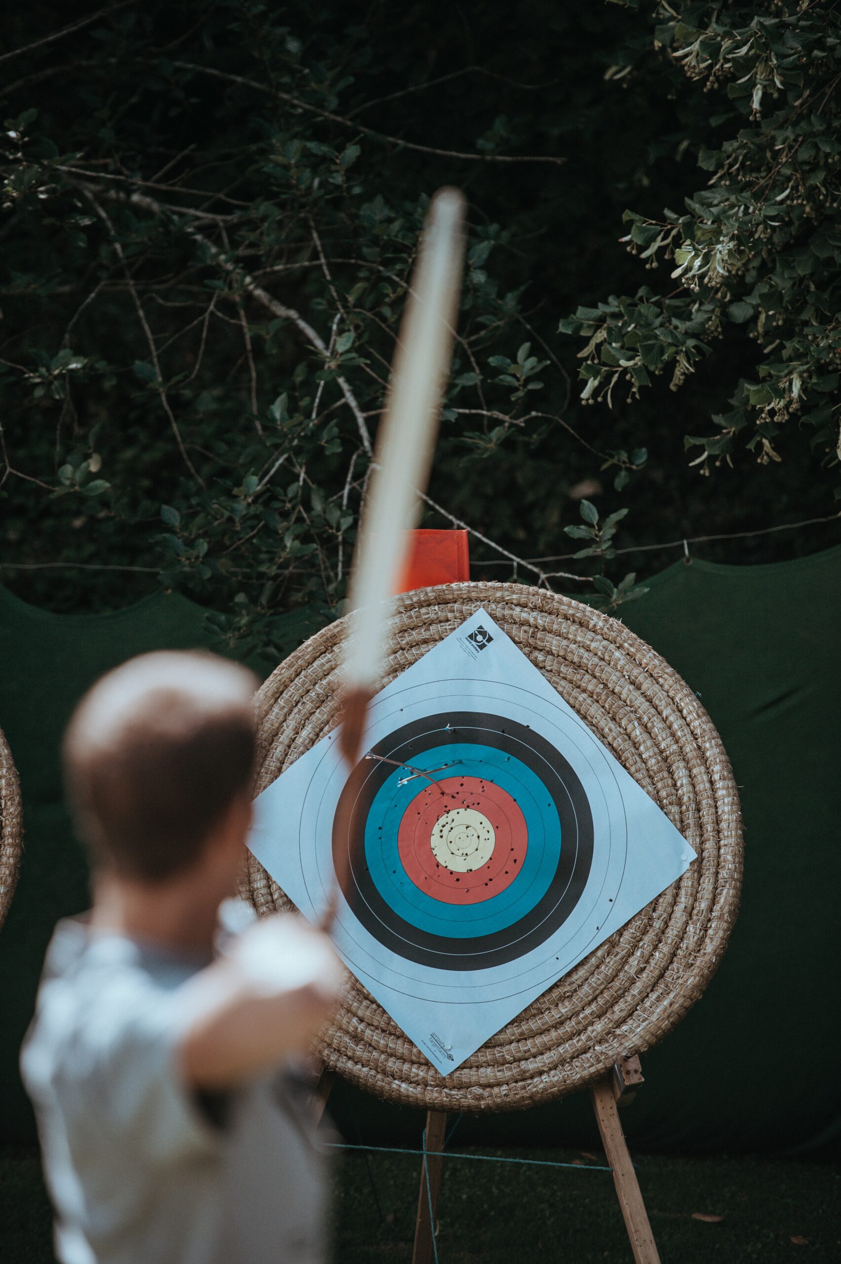 Hostile Events Attack Cycle – Intense Surveillance